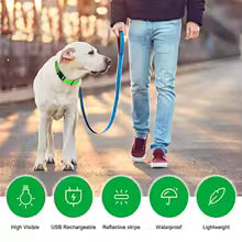 FurPopz LED Safety Dog Collar